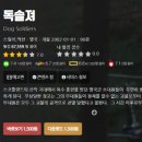 티나DOG 이미지