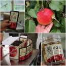 장수한우지방공사(유전자뱅크) | [가을축제] 사과와 한우의 고장 장수에서 펼쳐지는 장수 사과랑한우랑축제