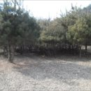 파주6리 경로당 네이버블로그