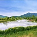 억새2축구장 이미지