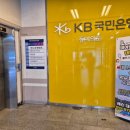 서울 여의도피클볼 루프탑 코트 추천! 올테니스 피클볼 아카데미 피클볼 레슨 후기