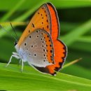 모두의부동산중개 이미지