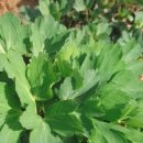 서진농장 이미지