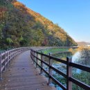 용인-이동-1 이미지