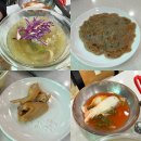 초리골초계탕 | 복날 무더위 날려줄 새콤한 초계탕! 파주 초리골 초계탕 방문 후기