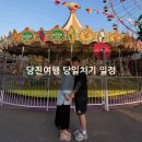 1950 | 당진 당일치기여행 일정 (왜목마을, 새빛 왜목, 왜목항, 수덕호 활어회, 샵교호놀이공원, 로드 1950 카페)