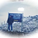 허궁다리 이미지