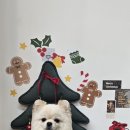 코코바리 이미지