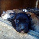 토실 토실 이미지