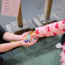 대자연횟집 | [제주 서귀포 맛집] 비린내 제로 고등어회, 올레시장 우정회센터 포장 냉철한 양 평가와 꿀팁