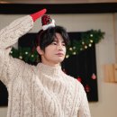 캐롤컴퍼니 이미지