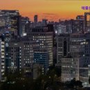 애플트리고시원