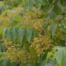 소백한의원 이미지