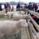 오세요목장 이미지