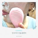 [진동클렌저] &#39;인사이디 진동클렌저&#39; 클렌징기계 클렌징기기
