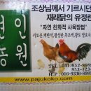이든농장 Daum카페