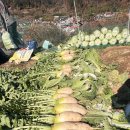 신촌명가돼지국밥 이미지