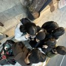 복합문화공간 몽향 이미지