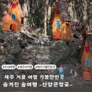 기찻길느린풍경 | 제주 산양큰엉곶 곶자왈 숨겨진 숲 여행 코스 주차 입장료 총정리