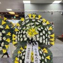 남원의료원장례예식장 | 창원시 근조꽃배달 새꽃국화 당일배송 상복공원 파티마 마산의료원등 화환보내드립니다