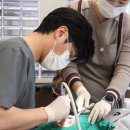 랭스치과의원 이미지