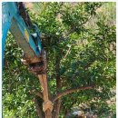 유자나무펜션 이미지