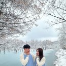 호호투어 | 삿포로 신혼여행 11월 비에이투어 후기 (인디고트래블 이레가이드님 강추!)