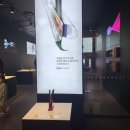 롯데동탄점배럴