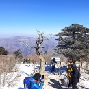 유일사 이미지