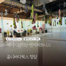 청담에너지 | 옴니바디웍스청담에서 에너지넘치는 번지피트니스 솔직후기