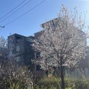 공릉 공트럴파크 테라스와 고양이가 있는 카페 우아즈