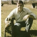 전 세계 아메리칸 핏불테리어 의 대부 이미지