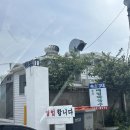 청솔속초삼대메밀국수 이미지