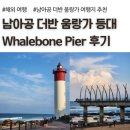 프로카월드 - 고양시 덕양구 백양로 152 | 남아공 더반 움랑가 등대, Whalebone Pier, 움랑가 라군 자연보호구역, 남아프리카공화국 자유 여행