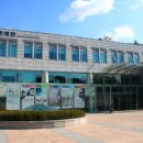 성균관대학교 한국강사신문
