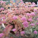 김재훈농장 이미지