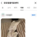 동수동물병원 이미지