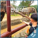 다낭 빈원더스 입장권 꿀팁 아이와 방문후기