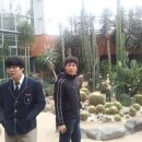 원미중학교 이미지