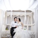 나비야 스튜디오 이미지