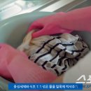 산성의류 이미지