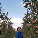 태송농장 이미지