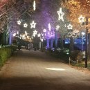 시민공원 남문 인근-1 | 부산 밤 데이트 인기 코스 시민공원 별빛산책길 도심 속에서 힐링