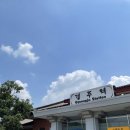 [경주|황리단길] 엄마랑 경주 당일치기 여행 한 일기