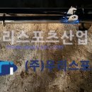 괴산고등학교 이미지