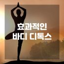 건바디디톡스