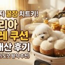 아젤리아까페 | 🍩 강아지 꿀잠 치트키! '아젤리아 카눌레 쿠션' 내돈내산 후기 (개모차 호환/도넛 방석 추천)