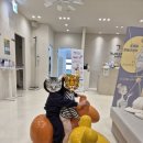가나다소아청소년과의원 네이버블로그