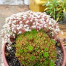 삼봉골프연습장 이미지