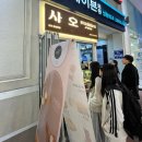 사오목장 | 대구 사오 동성로점 전국 3대 크로칸슈 맛집